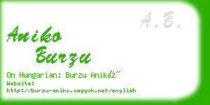 aniko burzu business card